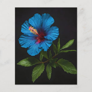 Prospectus 11,4 Cm X 14,2 Cm Fleur D'Hibiscus Bleu Sur Noir,