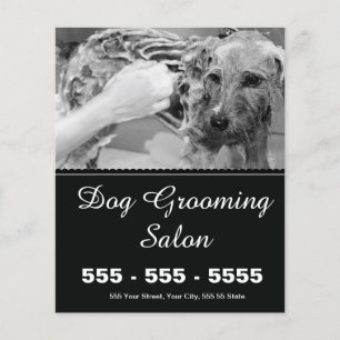 Prospectus 11,4 Cm X 14,2 Cm Flyer de toilettage pour chiens - Personnalisable