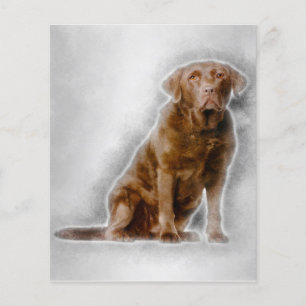 Prospectus 11,4 Cm X 14,2 Cm Golden Labrador Retriever 8 ans