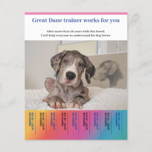 Prospectus 11,4 Cm X 14,2 Cm Grand Dane Dog Trainer