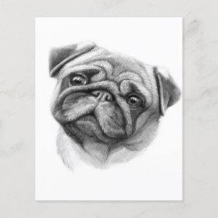Prospectus 11,4 Cm X 14,2 Cm Le portrait du Pug Visage de chien Pug mignon