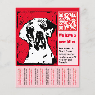 Prospectus 11,4 Cm X 14,2 Cm modèles de flyers pour chiots à vendre