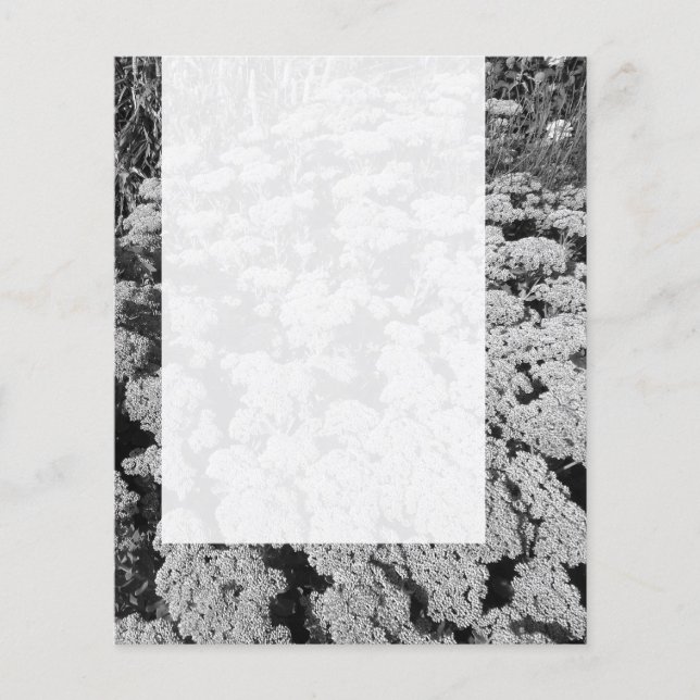 Prospectus 11,4 Cm X 14,2 Cm Panel 0109 - Sdum "Autumn Joy" (B&W) (Devant)