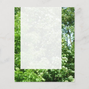 Prospectus 11,4 Cm X 14,2 Cm Panel 024 - Summer Breeze