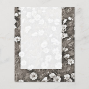 Prospectus 11,4 Cm X 14,2 Cm Panel 036 - L'Ancien des Marguerites