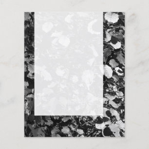 Prospectus 11,4 Cm X 14,2 Cm Panneau 0112 - Feuille