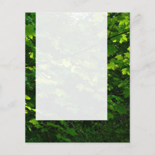 Prospectus 11,4 Cm X 14,2 Cm Panneau 039 - Feuilles d'été
