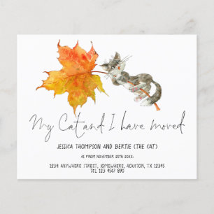 Prospectus 11,4 Cm X 14,2 Cm PAPIER   Drôle Mon Chat J'ai Déplacé Script Nouvea