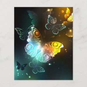 Prospectus 11,4 Cm X 14,2 Cm Papillon lumineux et papillons de nuit