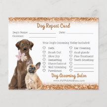 Parties scintillant en cuivre Chien Grooming Repor