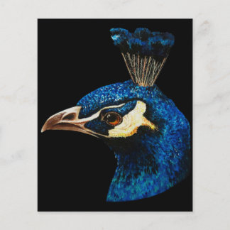 Prospectus 11,4 Cm X 14,2 Cm Peacock Art Design | Cadeau pour Amoureux des anim