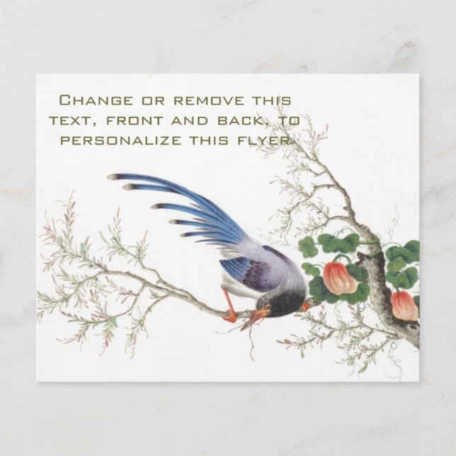 Prospectus 11,4 Cm X 14,2 Cm Peinture d'oiseaux chinois (Devant)