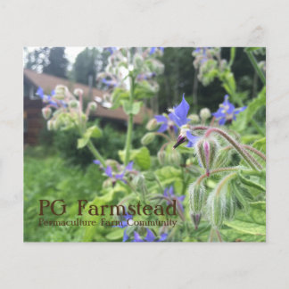 Prospectus 11,4 Cm X 14,2 Cm PG Farmstead flyer