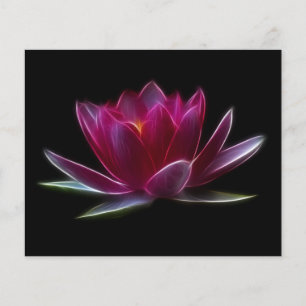 Prospectus 11,4 Cm X 14,2 Cm Plante d'eau à fleurs Lotus