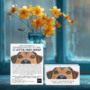 Prospectus 11,4 Cm X 14,2 Cm Publicité sur le service de fixation des animaux d