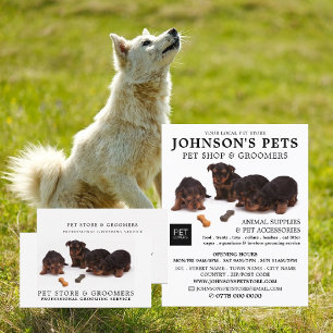 Prospectus 11,4 Cm X 14,2 Cm Pups mignons, boutique pour animaux de compagnie e