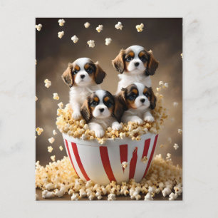 Prospectus 11,4 Cm X 14,2 Cm Quads Cavalier Espagnol Chipies Dans Le Popcorn,