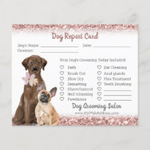 Rose Gold Parties scintillant Chien Grooming