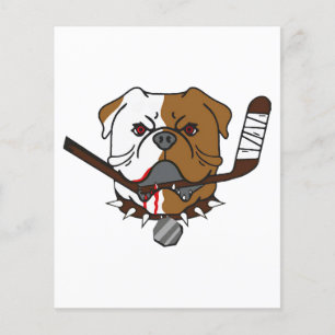 Prospectus 11,4 Cm X 14,2 Cm SHORESY Bulldogs de Sudbury