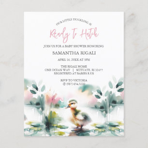 Prospectus 11,4 Cm X 14,2 Cm Thème Budget Girl Baby shower Canard