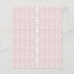 Prospectus 11,4 Cm X 14,2 Cm Un tapis vibrant avec un mot géométrique complexe