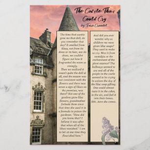 Prospectus 14 Cm X 21,6 Cm Auteur Promotional Bite Size Story Followers