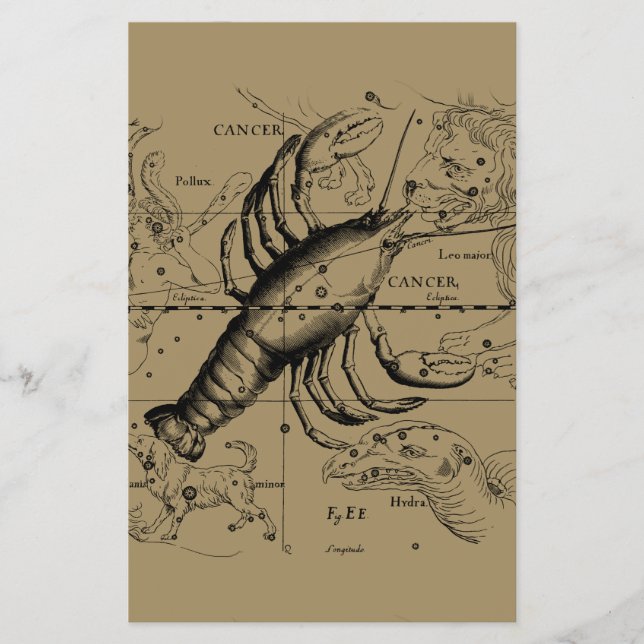 Prospectus 14 Cm X 21,6 Cm Cancer Constellation Hevelius 1690 21 juin-22 juil (Devant)