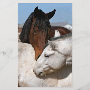 Prospectus 14 Cm X 21,6 Cm cheval ferme ranch équine western sports amour