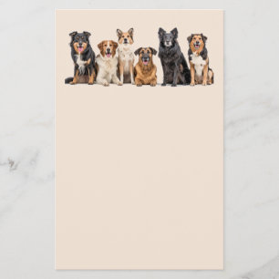 Prospectus 14 Cm X 21,6 Cm Chiens mignons ensemble flyer