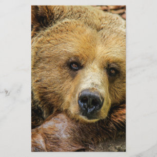 Prospectus 14 Cm X 21,6 Cm Ours ours animal personnalisé anniversaires person