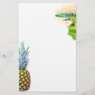 Prospectus 14 Cm X 21,6 Cm Plage de fruits d'ananas Dessert coloré Tropical