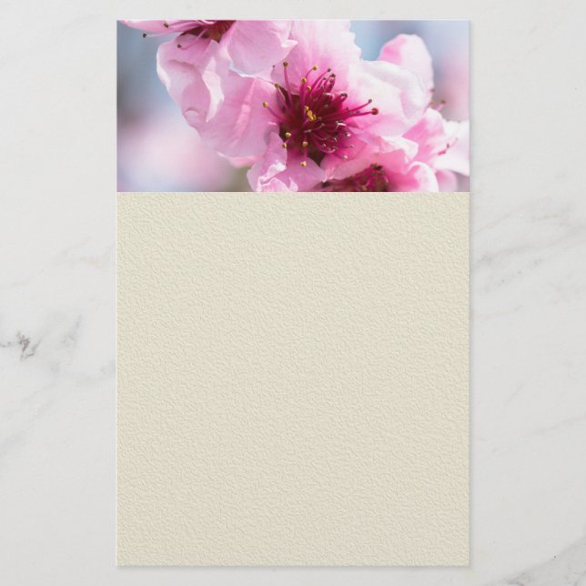 Prospectus 14 Cm X 21,6 Cm Printemps (Devant)