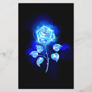 Prospectus 14 Cm X 21,6 Cm Rose bleu brûlant