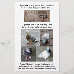 Prospectus 14 Cm X 21,6 Cm Secourt de blessure au pied de pigeon personnalisa
