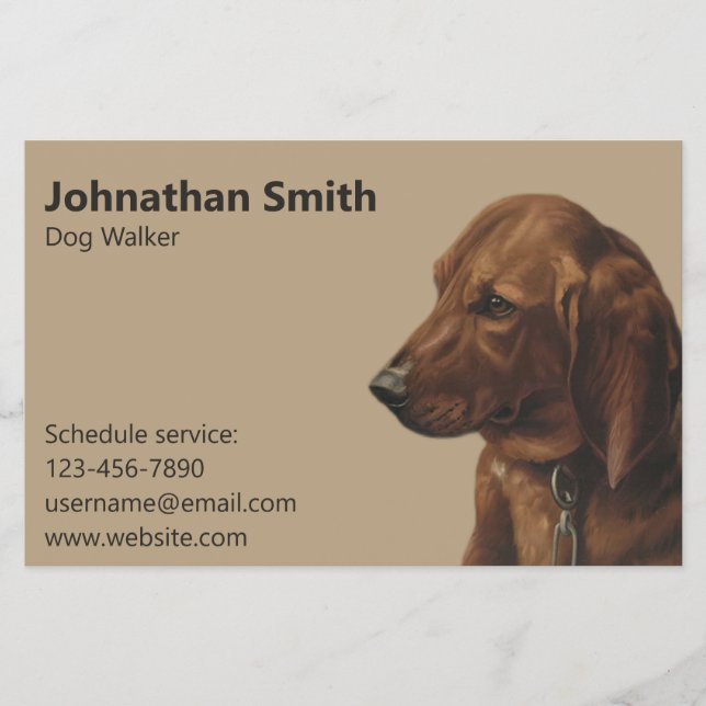Prospectus 14 Cm X 21,6 Cm Simple Chien Walker Service (Devant)