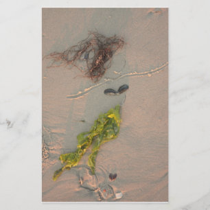 Prospectus 14 Cm X 21,6 Cm Sirène dans le sable