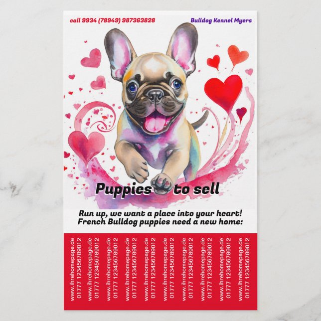 Prospectus 14 Cm X 21,6 Cm Vendre Puppy French Buldog (Devant)