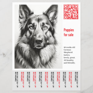 Prospectus 21,6 Cm X 24,94 Cm Affiche de Chien Berger Allemand