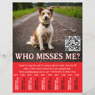Prospectus 21,6 Cm X 24,94 Cm Affiche de chien trouvé modifiable avec QR Code et