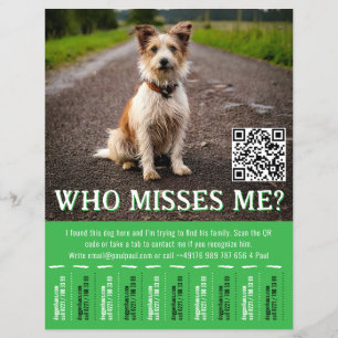 Prospectus 21,6 Cm X 24,94 Cm Affiche de chien trouvé modifiable avec QR Code et