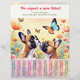 Prospectus 21,6 Cm X 24,94 Cm Affiche de chiots Bouledogue Français Ripp Off