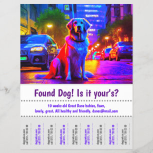 Prospectus 21,6 Cm X 24,94 Cm Affiche de Graphisme Chien Trouvé