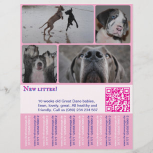 Prospectus 21,6 Cm X 24,94 Cm Affiche de vente de chiots designer 4 photos