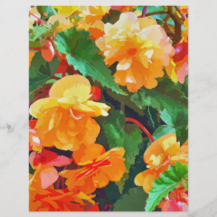 PROSPECTUS 21,6 CM X 24,94 CM BEGONIAS