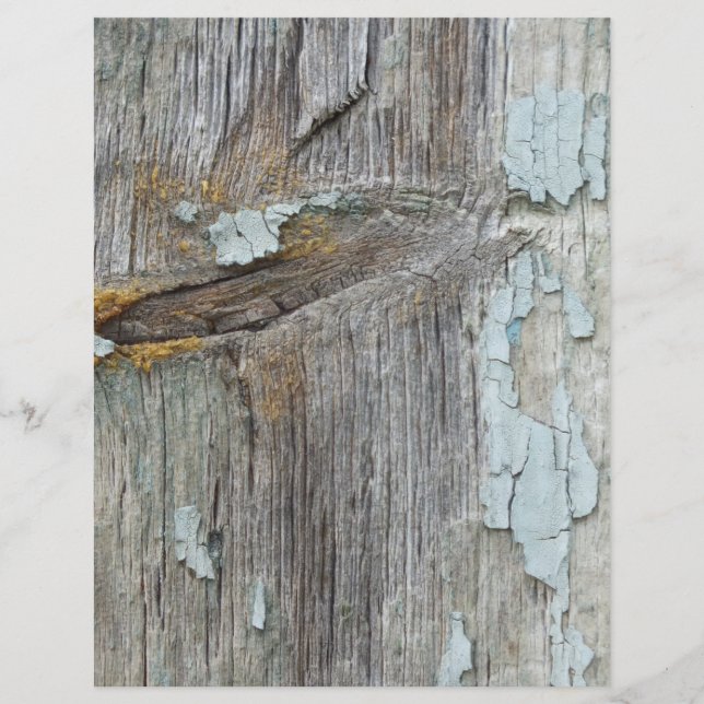 Prospectus 21,6 Cm X 24,94 Cm bois (Devant)