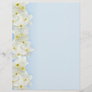 Prospectus 21,6 Cm X 24,94 Cm Bordure de narcisse blanche