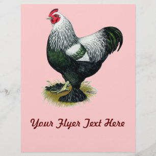 Prospectus 21,6 Cm X 24,94 Cm Brahma : Coq foncé