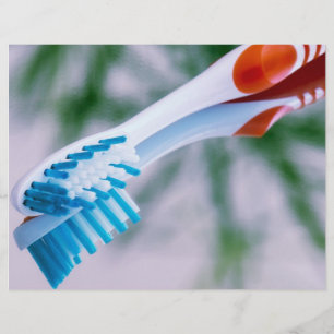 Prospectus 21,6 Cm X 24,94 Cm Brosse à dents