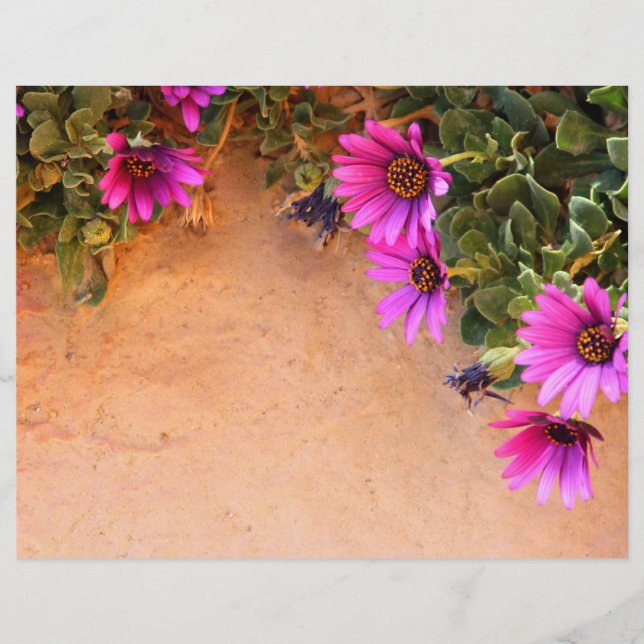 Prospectus 21,6 Cm X 24,94 Cm Cadre de fleurs (Devant)