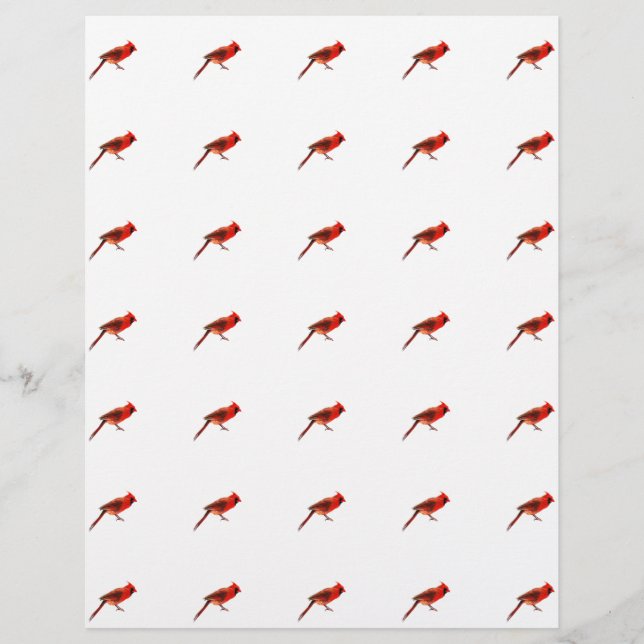 Prospectus 21,6 Cm X 24,94 Cm Cardinal(s) (Devant)
